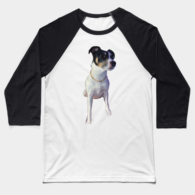 gangster dog funny meme gold chain Baseball T-Shirt by maoudraw